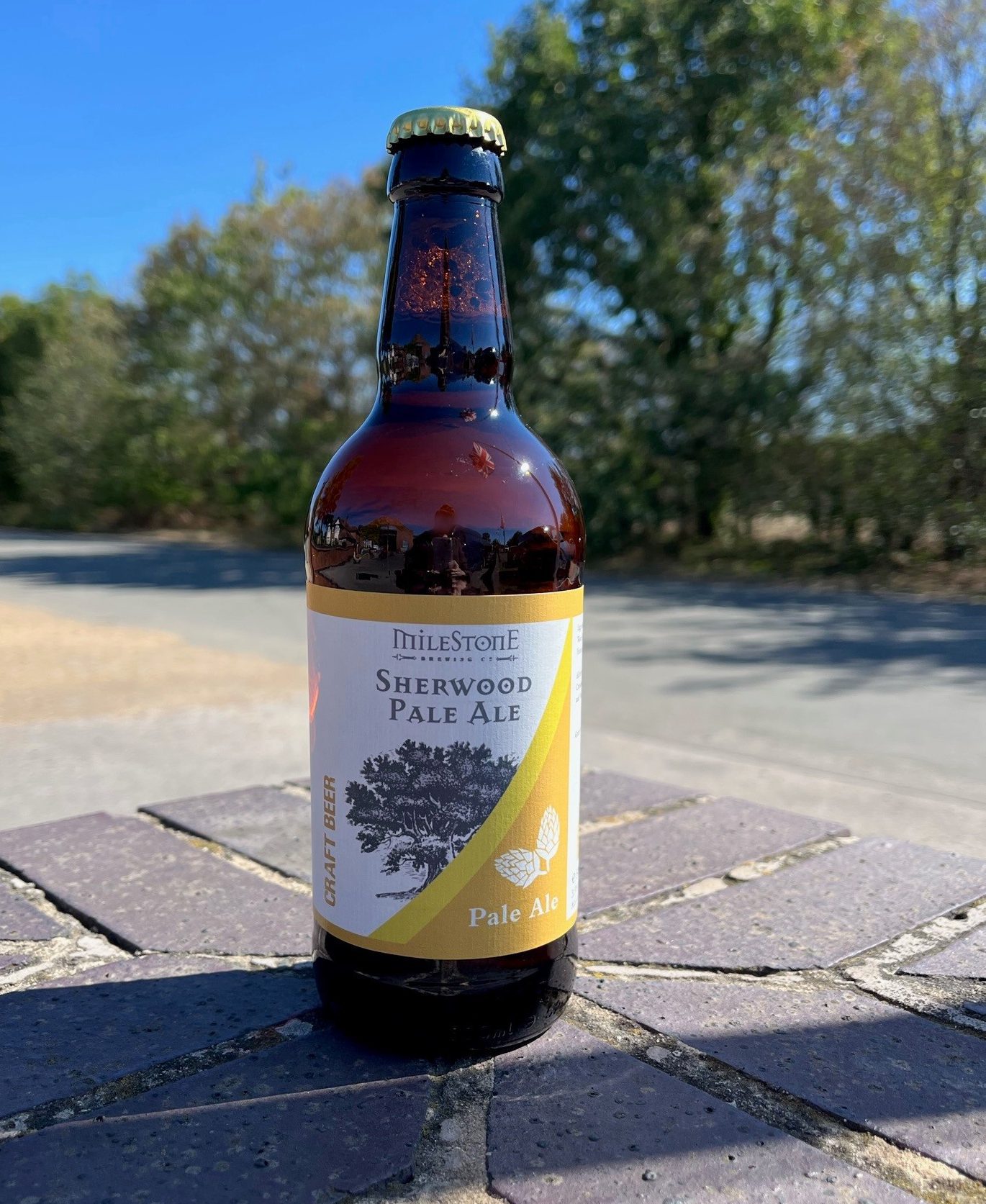 Sherwood Pale Ale - 3.9% ABV